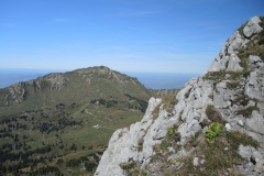 DSCN3005