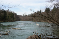 DSC06653