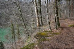 DSC06659