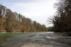 DSC06668