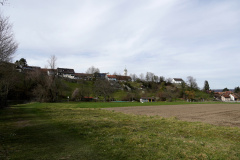 DSC06725