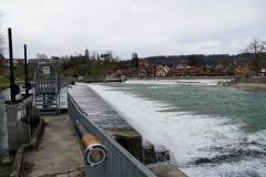 DSC06736