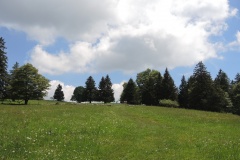 DSCN0705