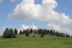 DSCN0706