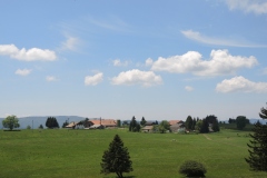 DSCN0709