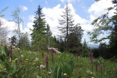 DSCN0719