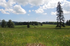 DSCN0722