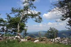 DSCN0723
