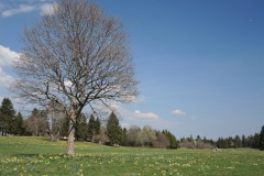 DSCN2116