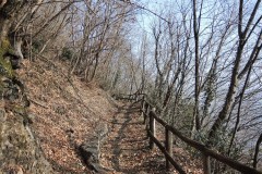 DSCN1308
