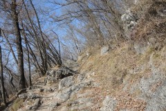 DSCN1316