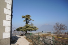 DSCN1325