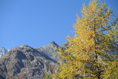 DSCN2412