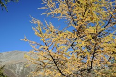 DSCN2439