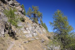 DSCN2445