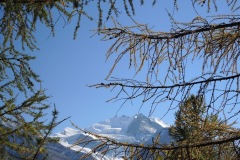 DSCN2447