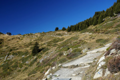 DSC09543
