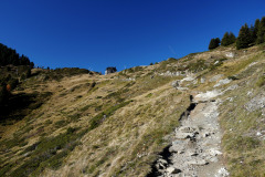 DSC09545