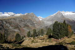 DSC09556