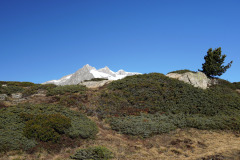 DSC09558