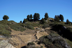 DSC09563