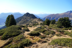 DSC09578