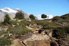 DSC09584