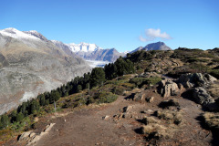 DSC09591