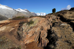 DSC09595