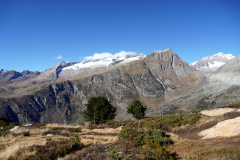 DSC09607