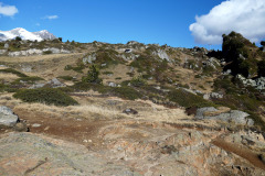 DSC09698