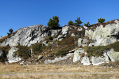 DSC09703