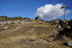 DSC09709