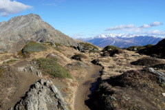 DSC09788