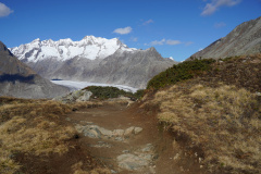 DSC09807