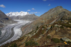 DSC09820