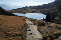 DSC09843