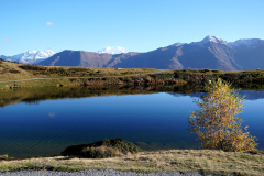 DSC09876