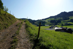 DSC08917