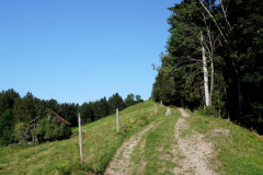 DSC08920