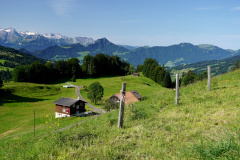 DSC08933
