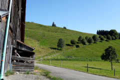 DSC08934