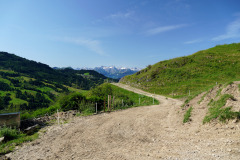 DSC08935
