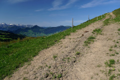 DSC08938