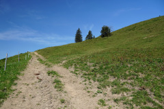DSC08939