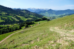 DSC08941