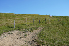 DSC08944