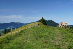 DSC08948