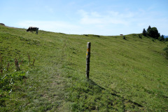 DSC08955