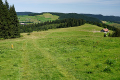 DSC08956